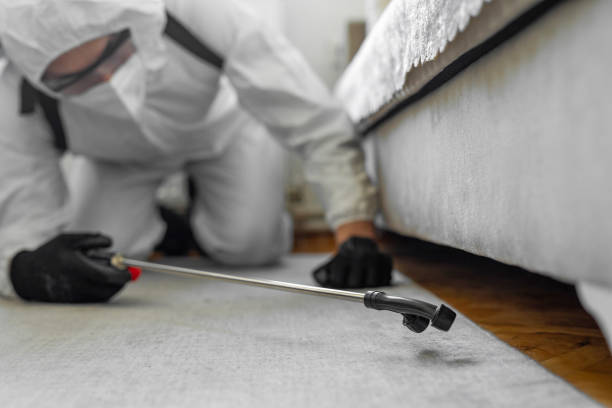 Professional Bed Bug Control technician working in Lukachukai, AZ