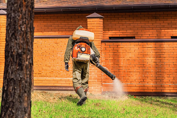 Trusted Emergency Pest Control service in Lukachukai, AZ - Nex Pest Control